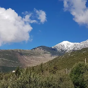 Filoxenia Palasë
